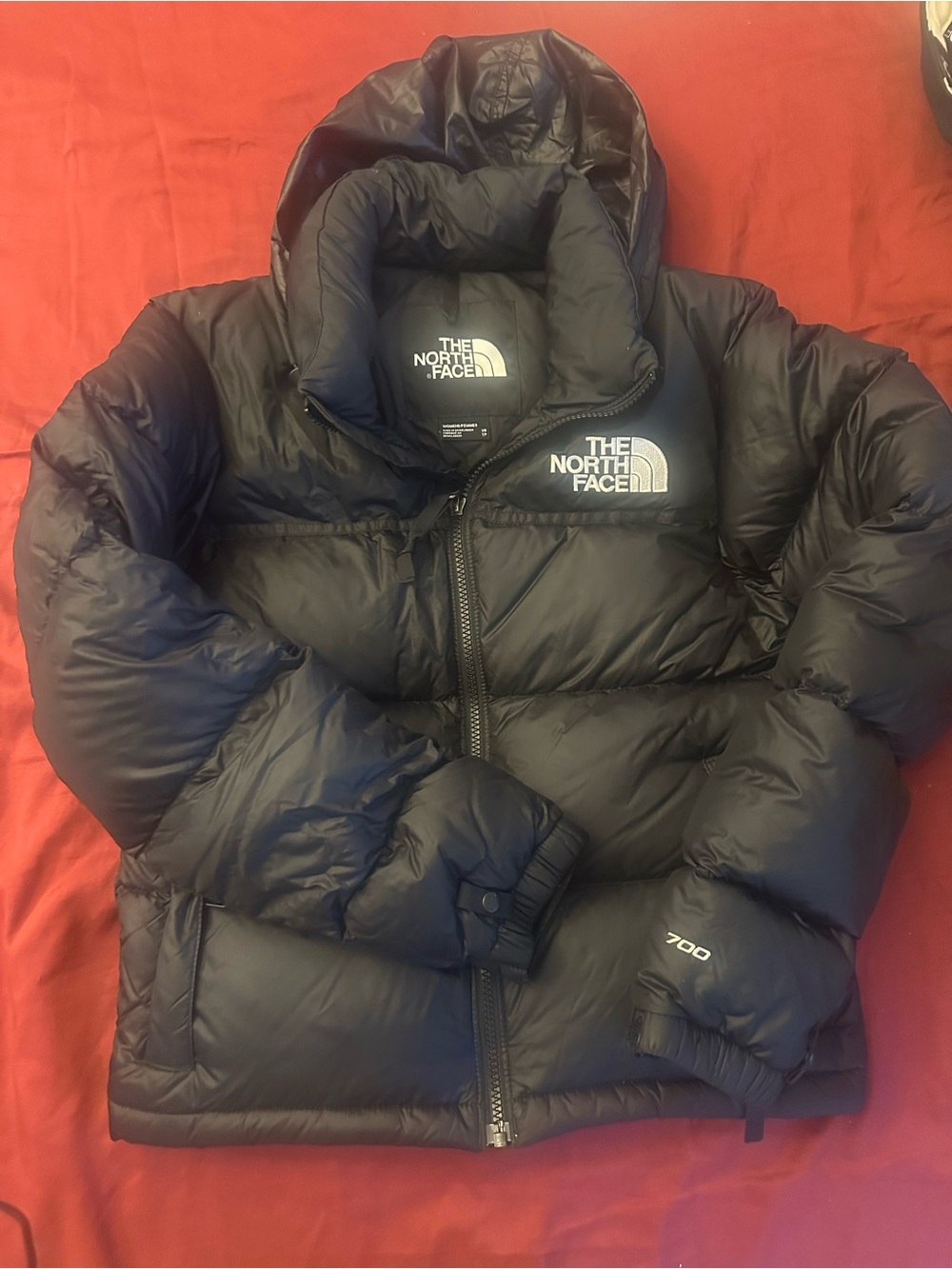 The North Face Women’s Black 700 Puffer Jacket